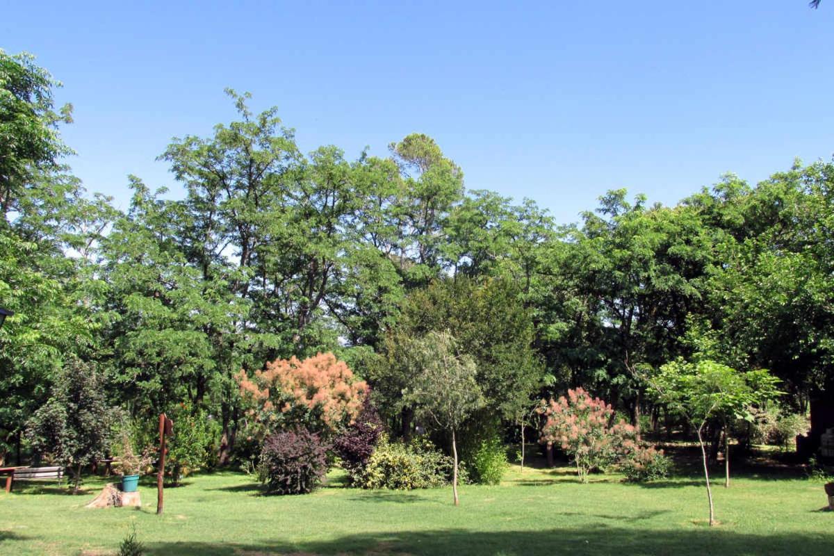 Luna Cautiva Casa De Campo Hotel Santa Rosa de Calamuchita Bagian luar foto