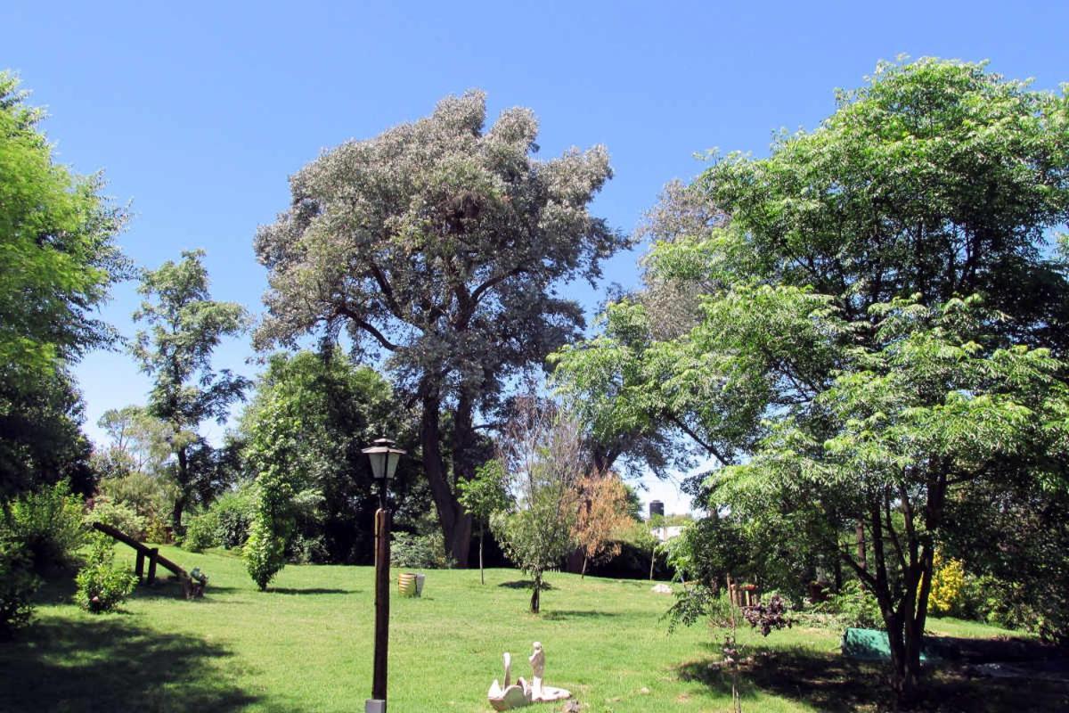 Luna Cautiva Casa De Campo Hotel Santa Rosa de Calamuchita Bagian luar foto